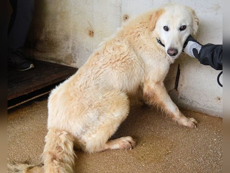 Frieder - Gibt es ein Leben jenseits von Schmerz und Einsamkeit?