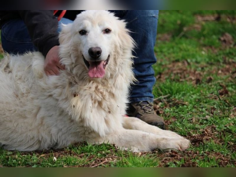 Alida - Unter dem Mantel der Verwahrlosung