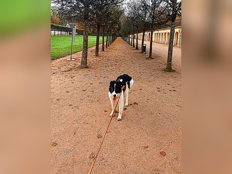 Uriel -  Zeigst du mir den Weg?