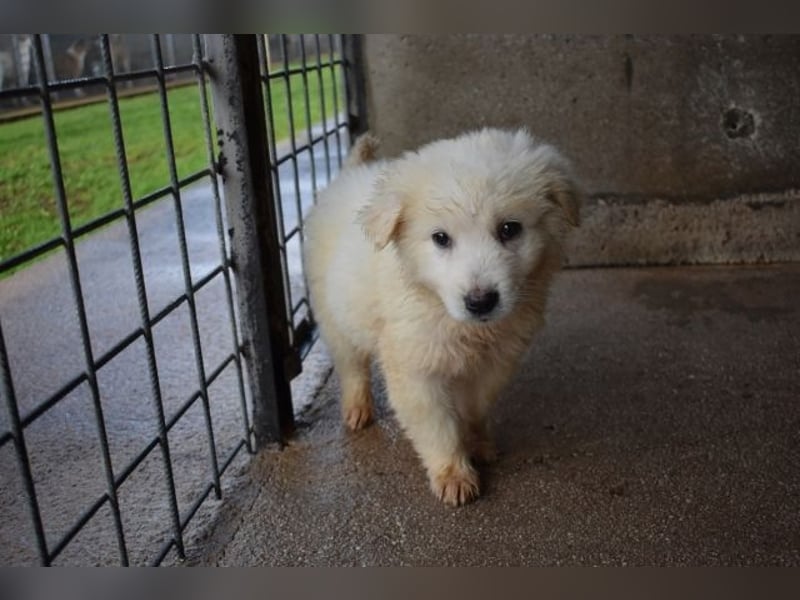 Calira - Weiß jemand, was aufpassen eigentlich heißt?