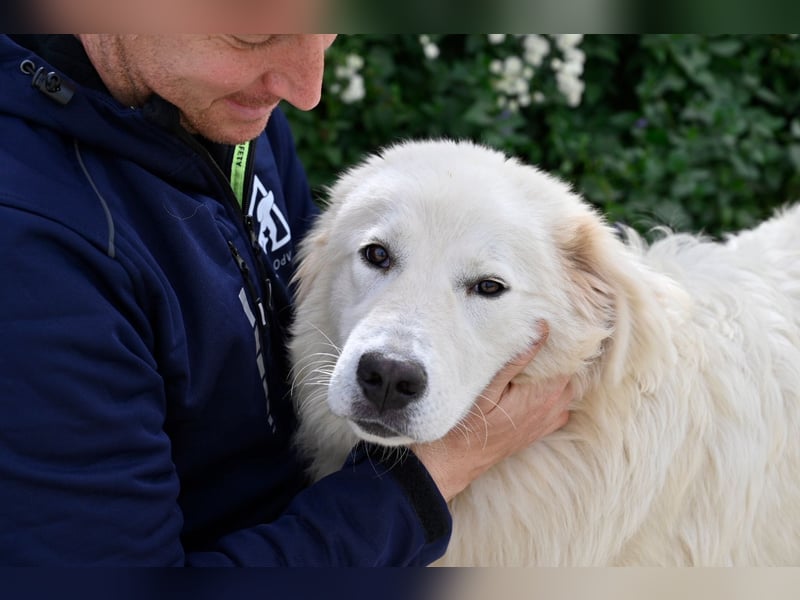 Garth - Kannst du machen, dass es nicht so lange dauert?