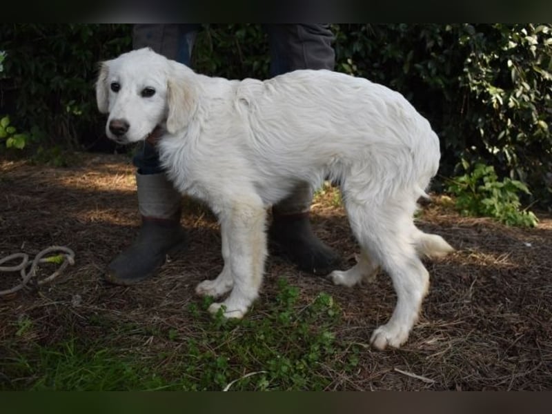 Syrio - So jung und so chancenlos ..