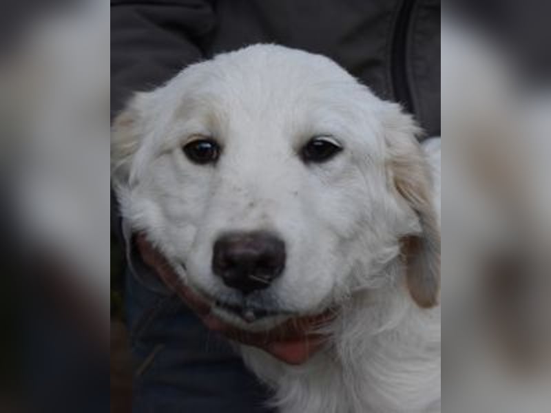 Stobin - So jung und so chancenlos ...