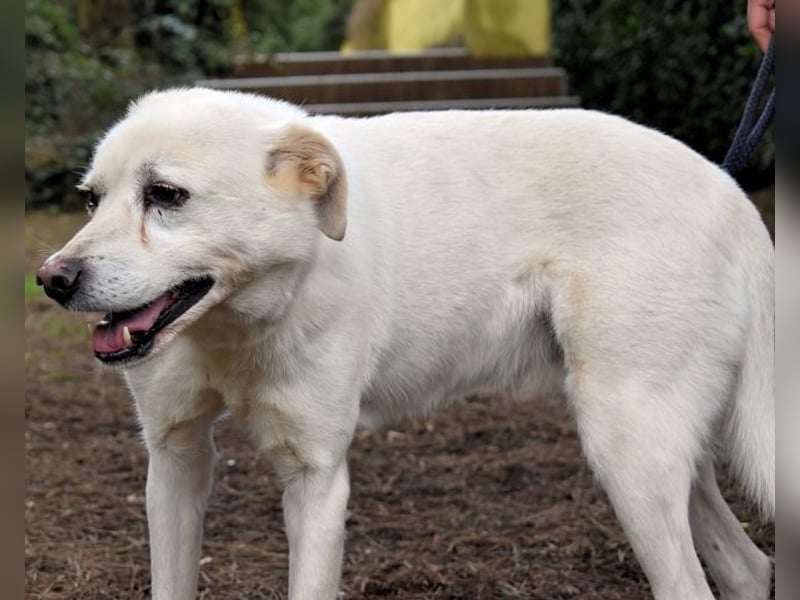 Talete - das Stehaufmännchen