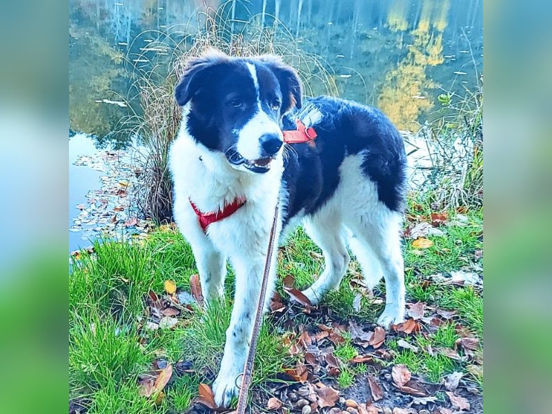 Uriel -  Zeigst du mir den Weg?