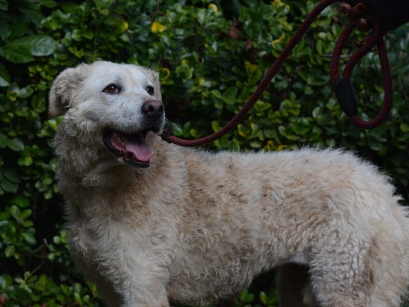 Generosa - Ein Adler bleibt ein Adler...