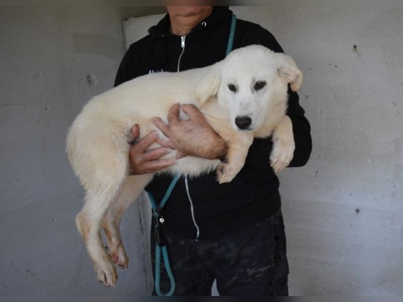 Ryther - Für diese traurige Geschicht...