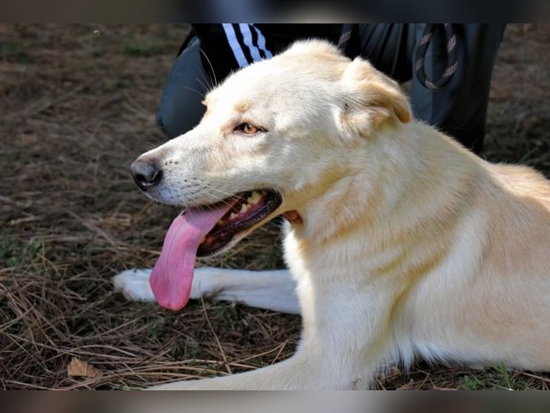 Admeto - Nur ein Wunsch: endlich nach Hause!