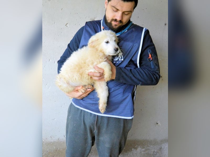 Clyro - SOS - Weiß jemand, was aufpassen eigentlich heißt ?