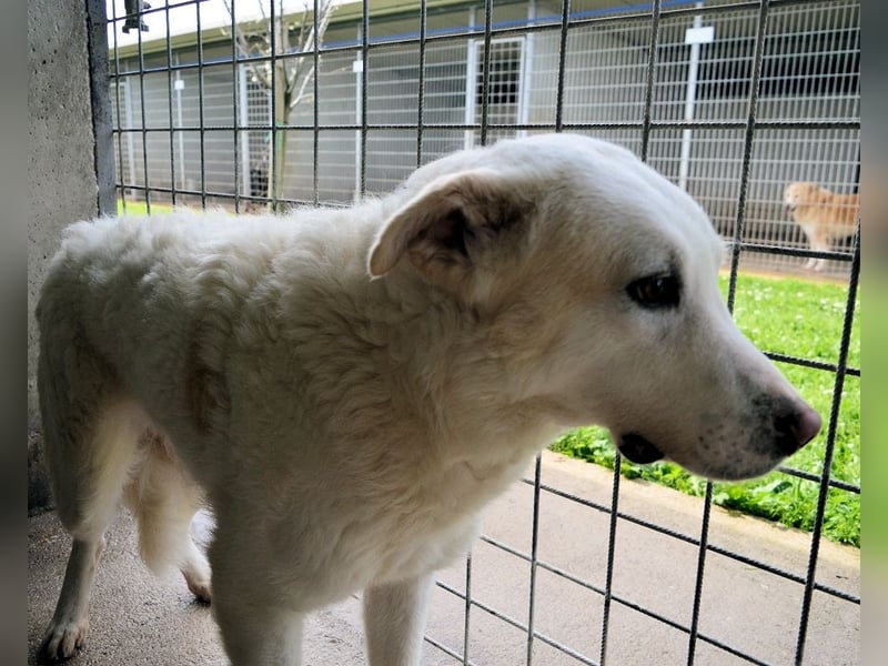 Vitale - "Komm, trau dich! Du kannst das!" Vitale - "Komm, trau dich! Du kannst das!"