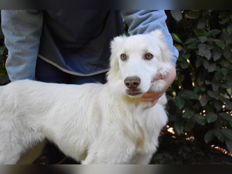 Thulin - Eigentlich ist ja alles da...