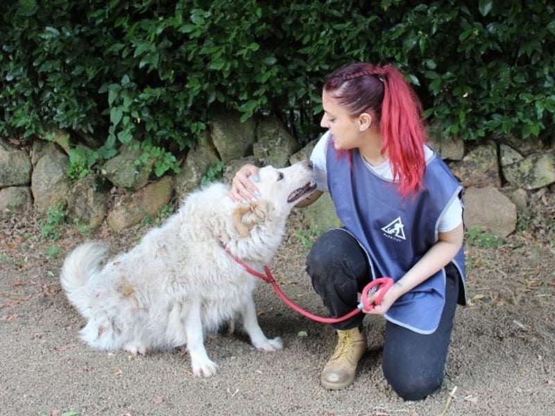 Papak - Nutze den Tag!