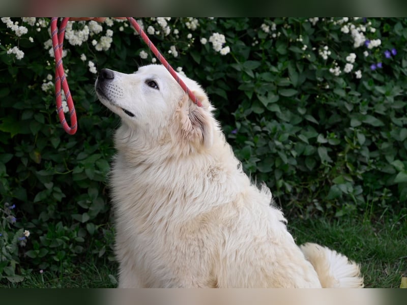 Garth - Kannst du machen, dass es nicht so lange dauert?