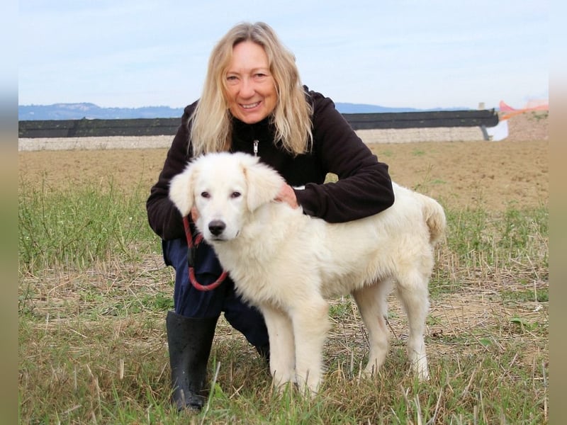 Garth - Kannst du machen, dass es nicht so lange dauert?