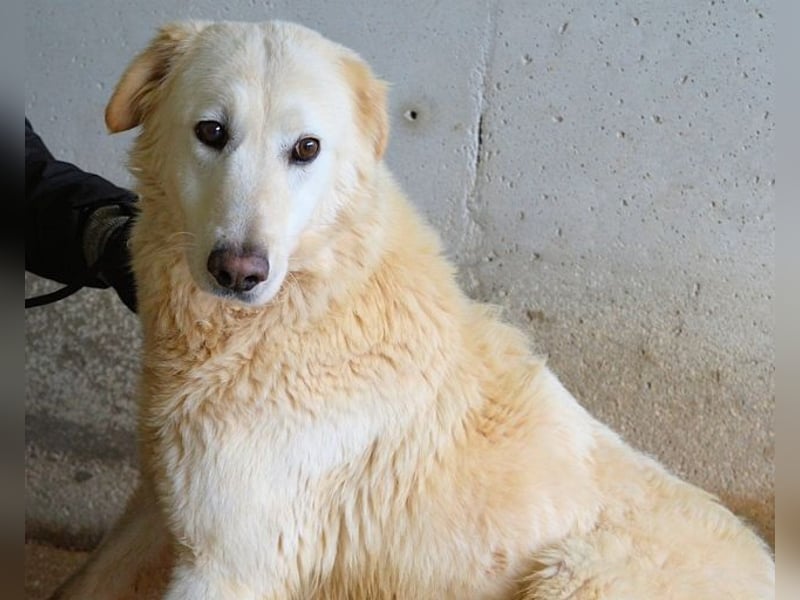 Frieder - Gibt es ein Leben jenseits von Schmerz und Einsamkeit?