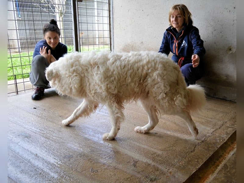 Volturno - Alles was es braucht, ist eine Chance