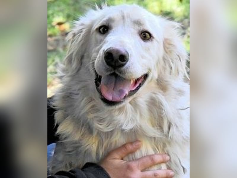 Hadeus - Wovon träumst du?