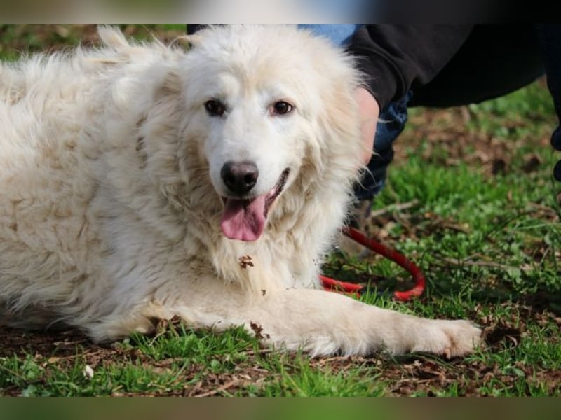 Alida - Unter dem Mantel der Verwahrlosung