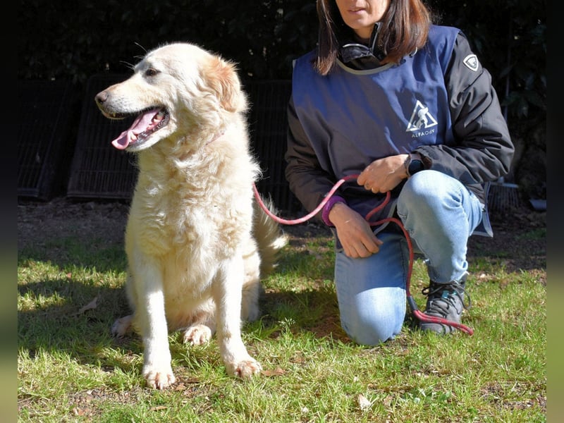 Fyona - Hell wie das Licht