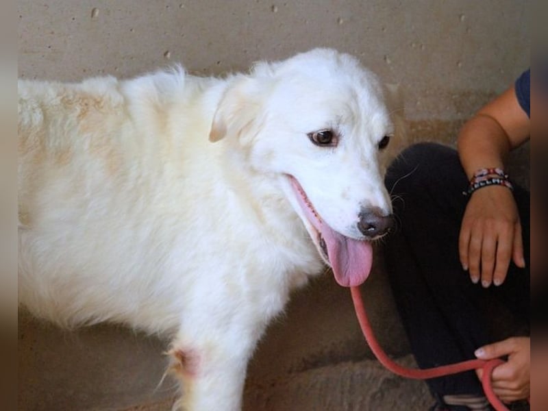 Habriel - weiß, es wird einmal ein Wunder gescheh'n