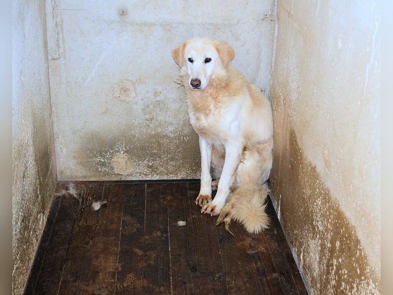 Frieder - Gibt es ein Leben jenseits von Schmerz und Einsamkeit?