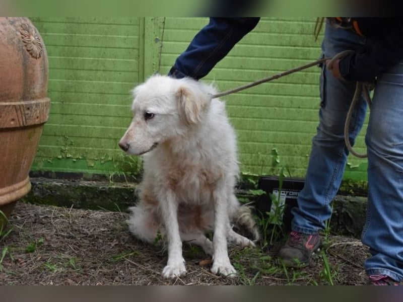 Graciela - NOTFALL- Was hatte sie schon...