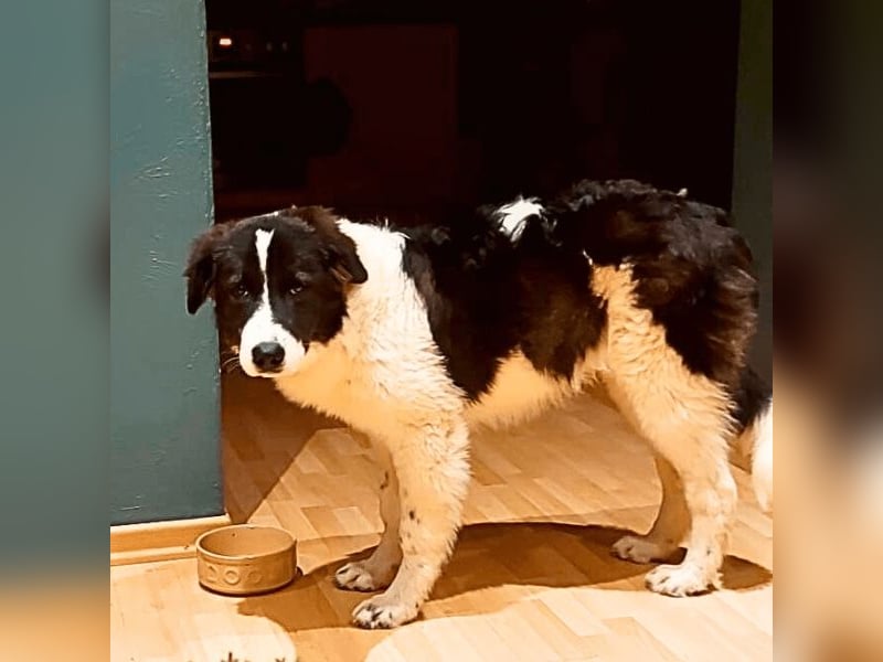 Uriel -  Zeigst du mir den Weg?