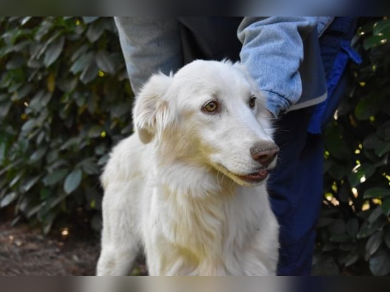 Thulin - Eigentlich ist ja alles da...