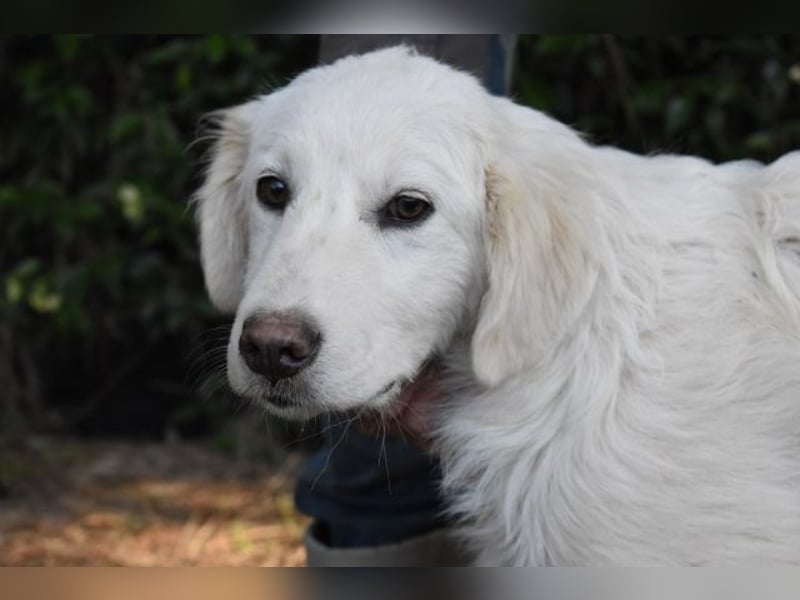 Syrio - So jung und so chancenlos ..