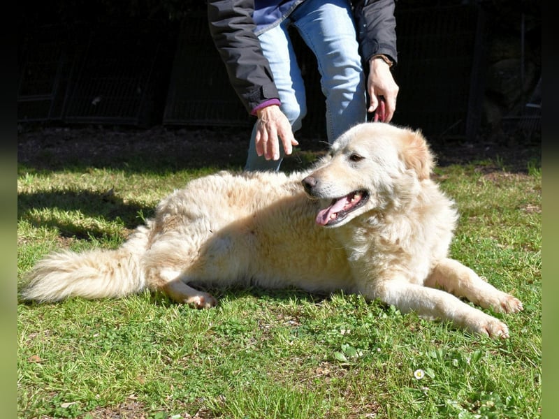 Fyona - Hell wie das Licht