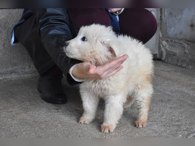 Clyro - SOS - Weiß jemand, was aufpassen eigentlich heißt ?