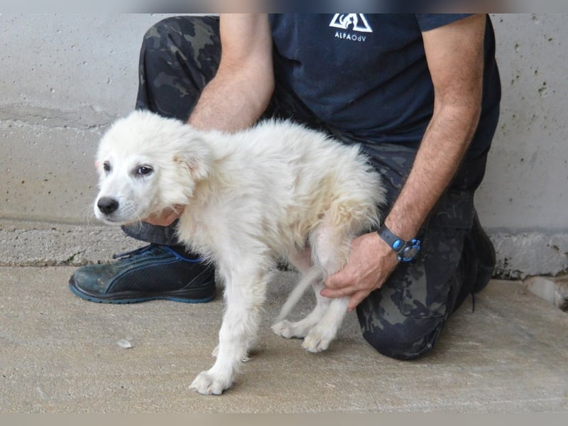 Garth - Kannst du machen, dass es nicht so lange dauert?