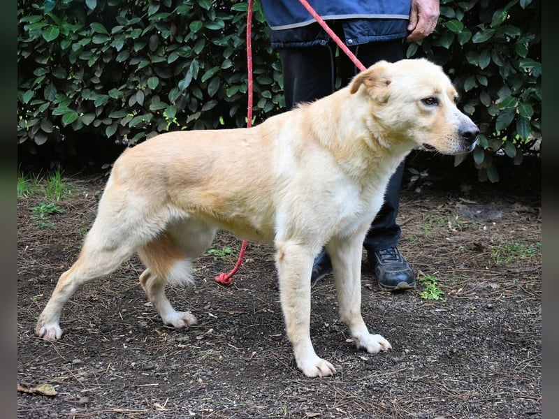 Admeto - Nur ein Wunsch: endlich nach Hause!