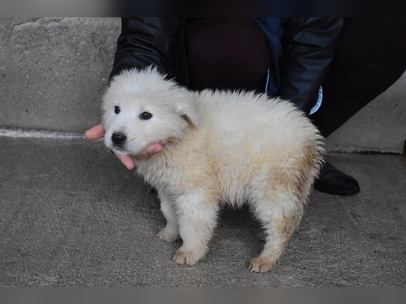Clyro - SOS - Weiß jemand, was aufpassen eigentlich heißt ?