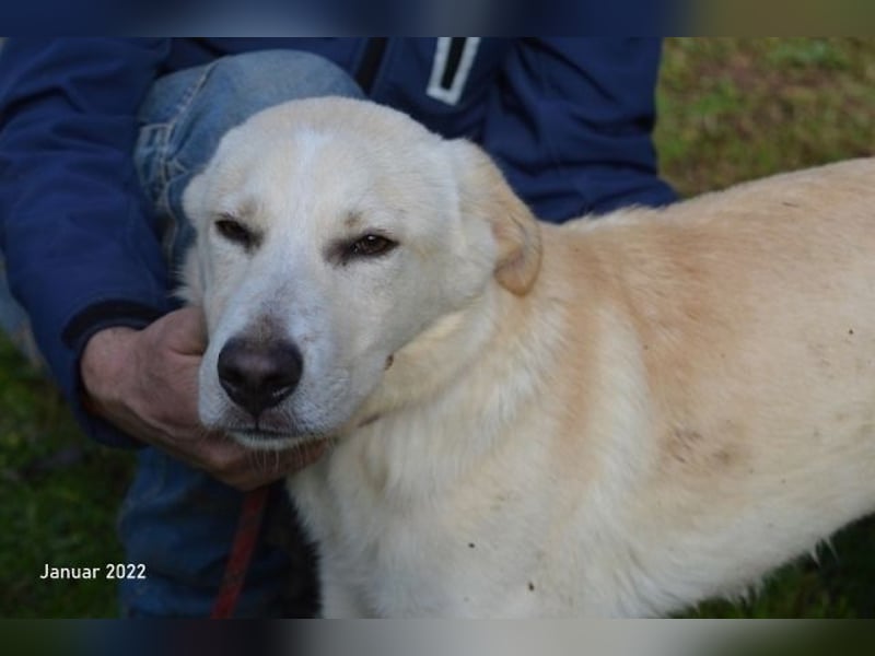 Admeto - Nur ein Wunsch: endlich nach Hause!