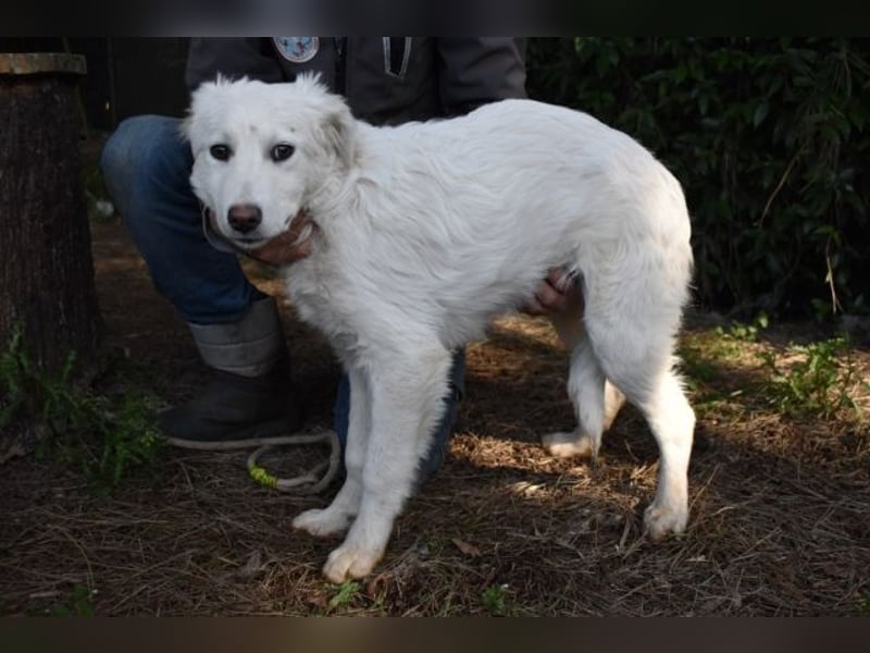 Saabira - So jung und so chancenlos ...