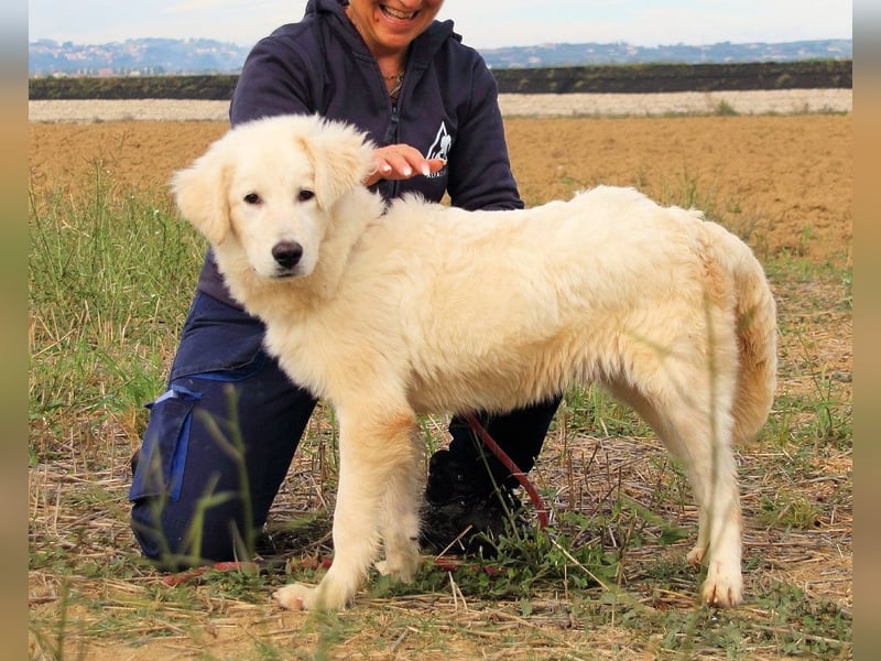 Garth - Kannst du machen, dass es nicht so lange dauert?
