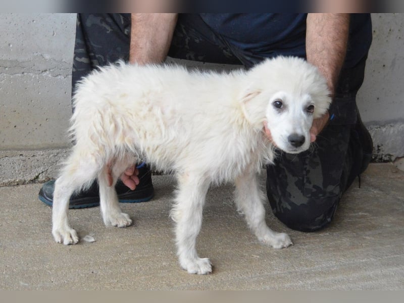 Garth - Kannst du machen, dass es nicht so lange dauert?