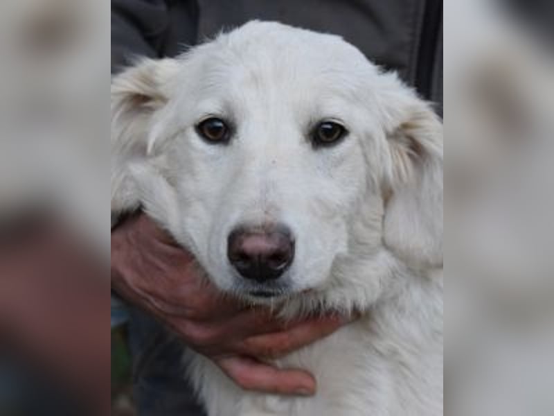 Solitelle - So jung und so chancenlos ...