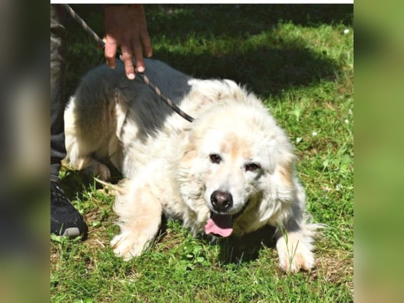 Alida - Unter dem Mantel der Verwahrlosung