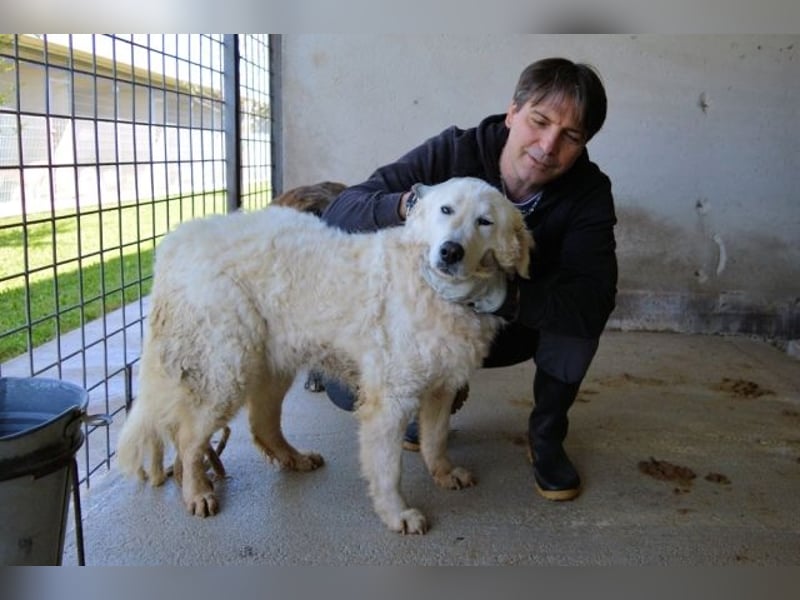 Imeria - Vielleicht bin ich dein leises Ja?