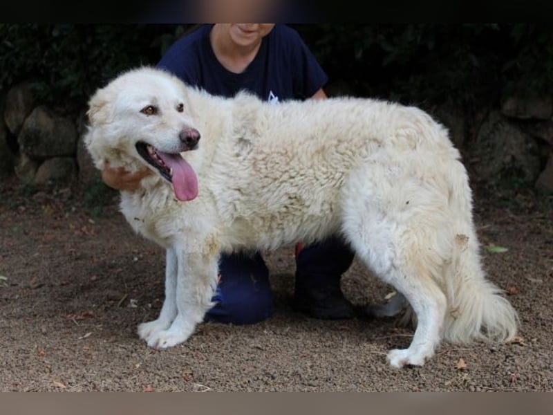 Fyona - Hell wie das Licht