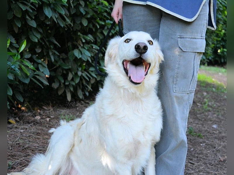 Hadeus - Wovon träumst du?