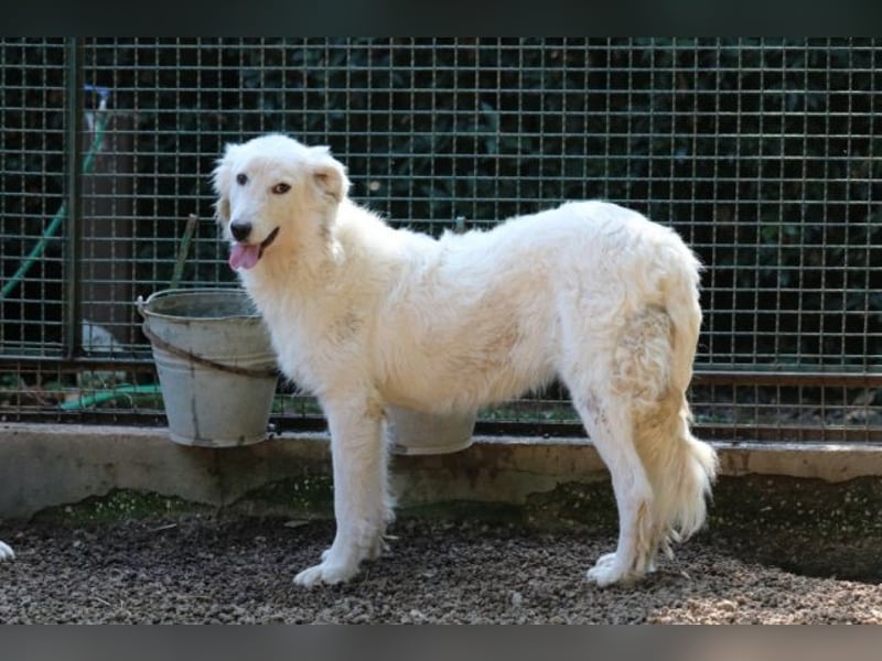 Alida - Unter dem Mantel der Verwahrlosung