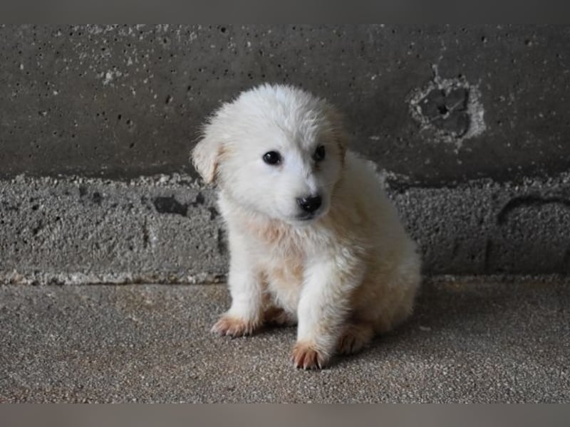Cilwen - Weiß jemand, was aufpassen eigentlich heißt ?