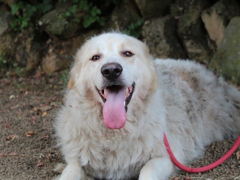 Papak - Nutze den Tag!