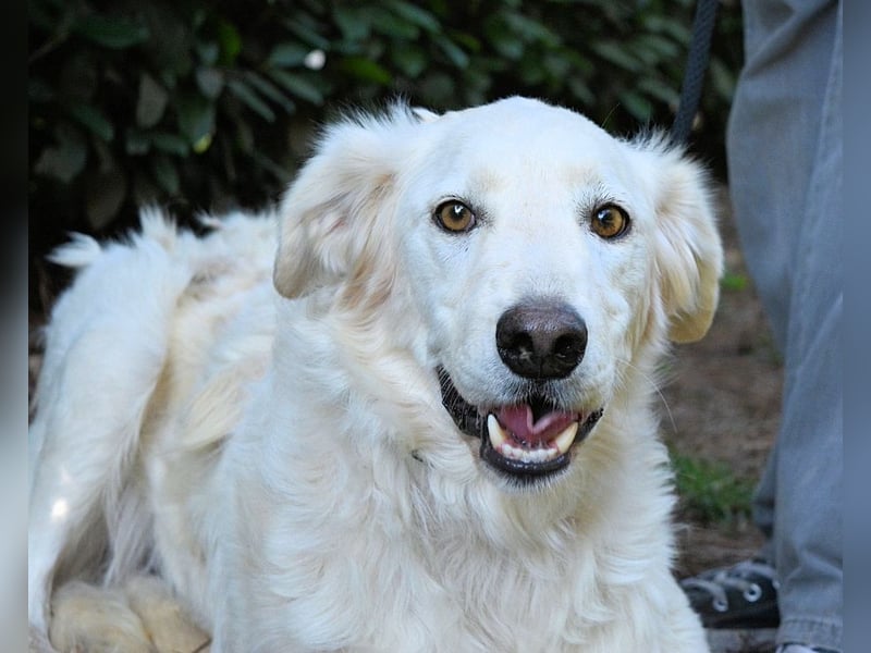 Hadeus - Wovon träumst du?