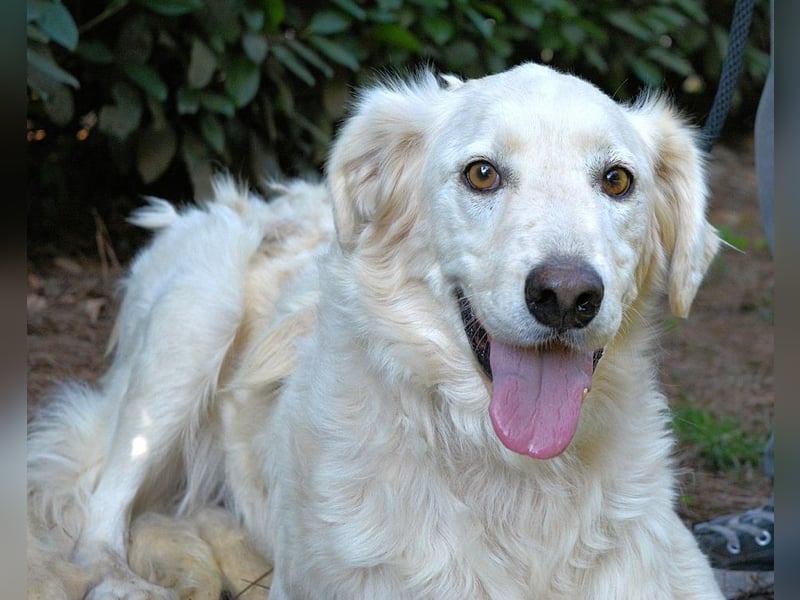 Hadeus - Wovon träumst du?