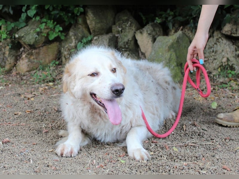 Papak - Nutze den Tag!