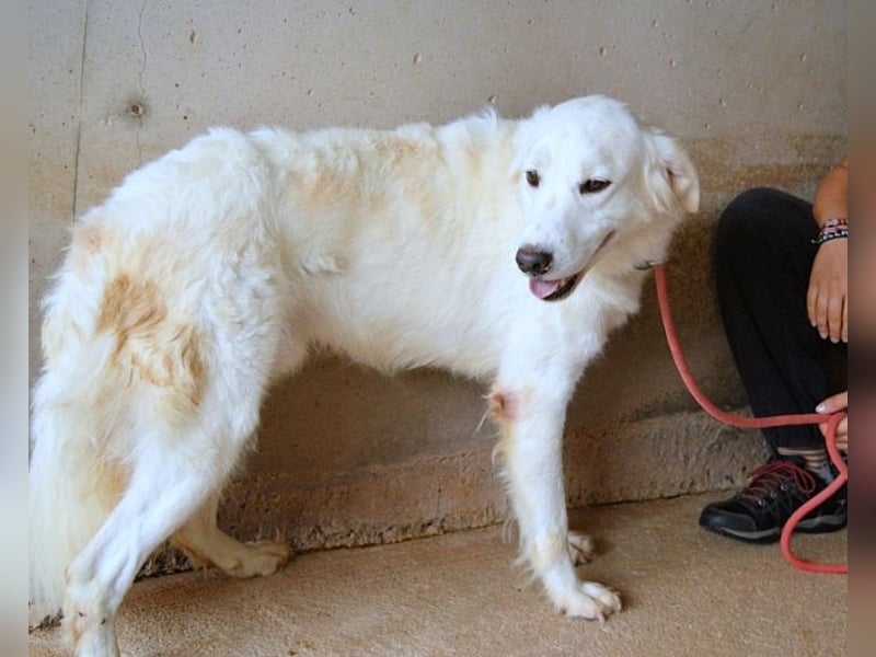 Habriel - weiß, es wird einmal ein Wunder gescheh'n